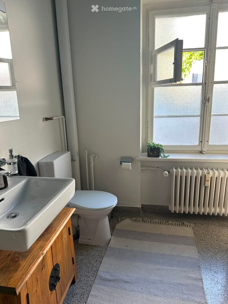 2,5 Zimmer (65m2) in Stadtmitte im 3. Obergeschoss (4)