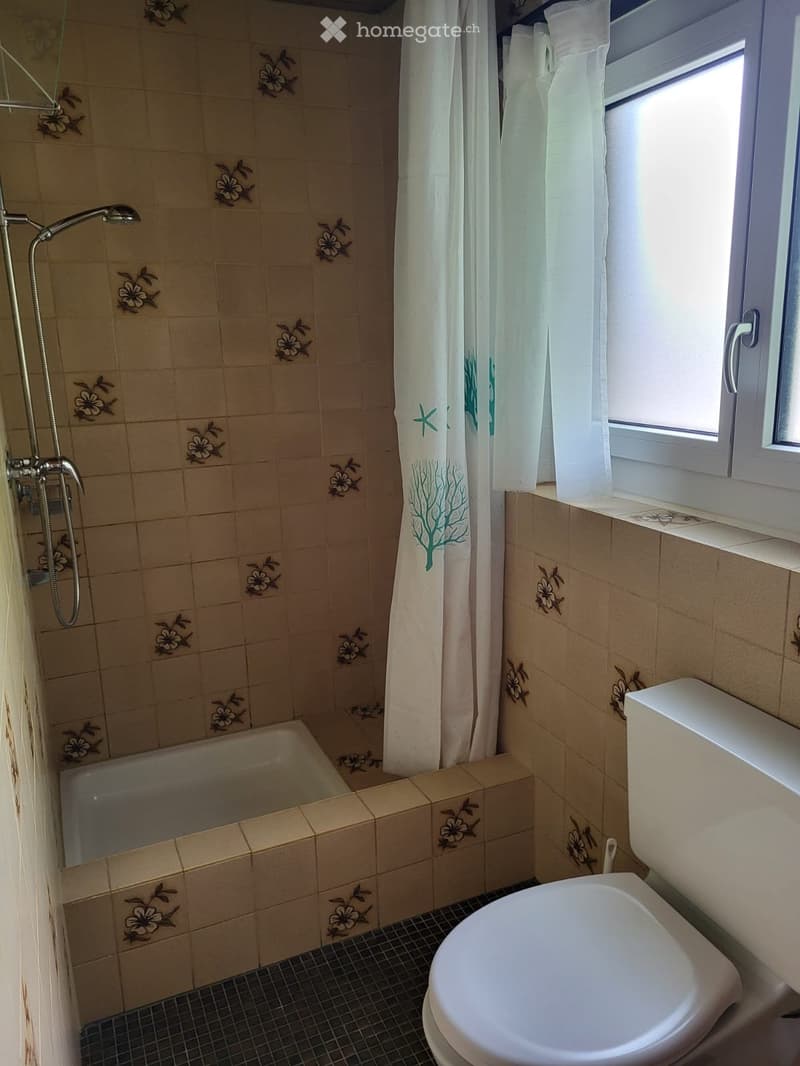 1 Zimmer Wohnung (4)
