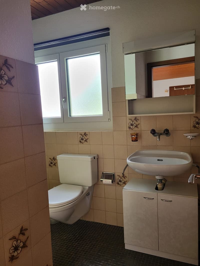 1 Zimmer Wohnung (5)