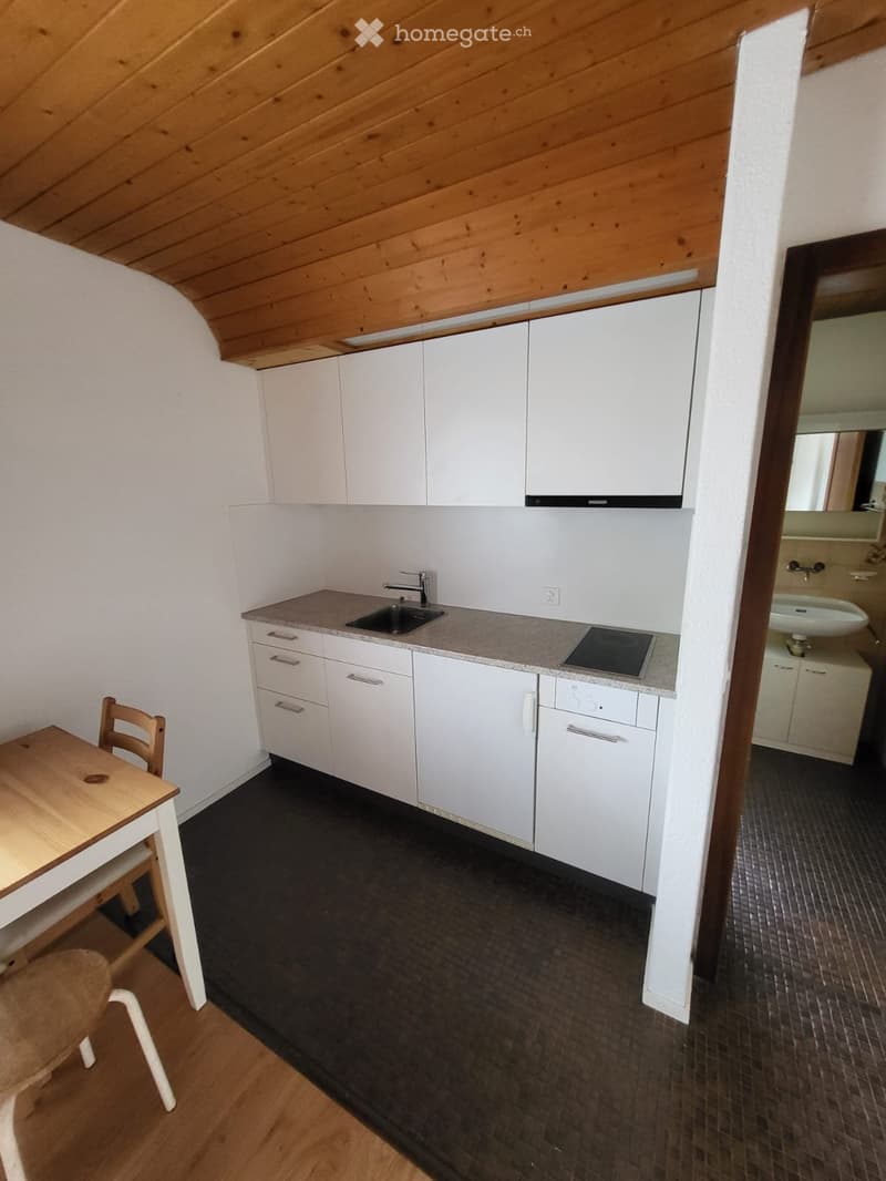 1 Zimmer Wohnung (3)