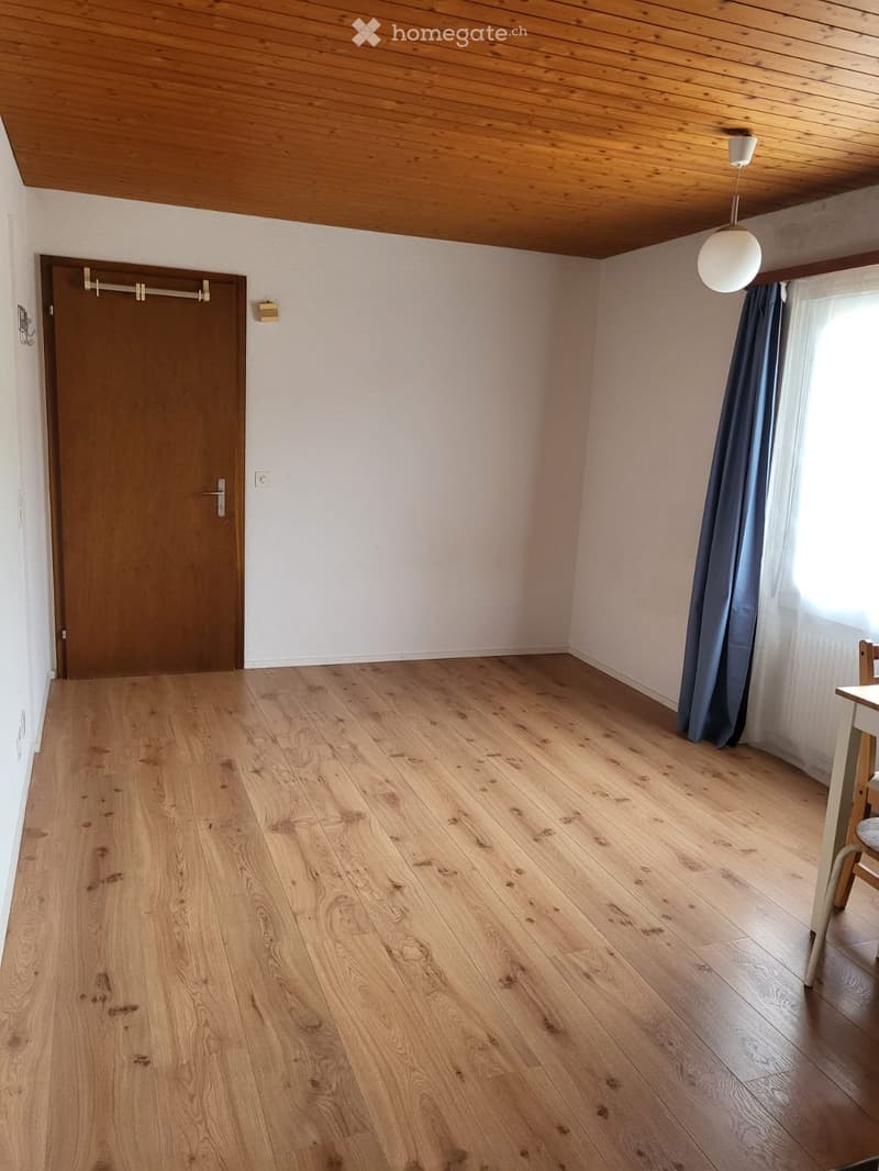 1 Zimmer Wohnung (2)