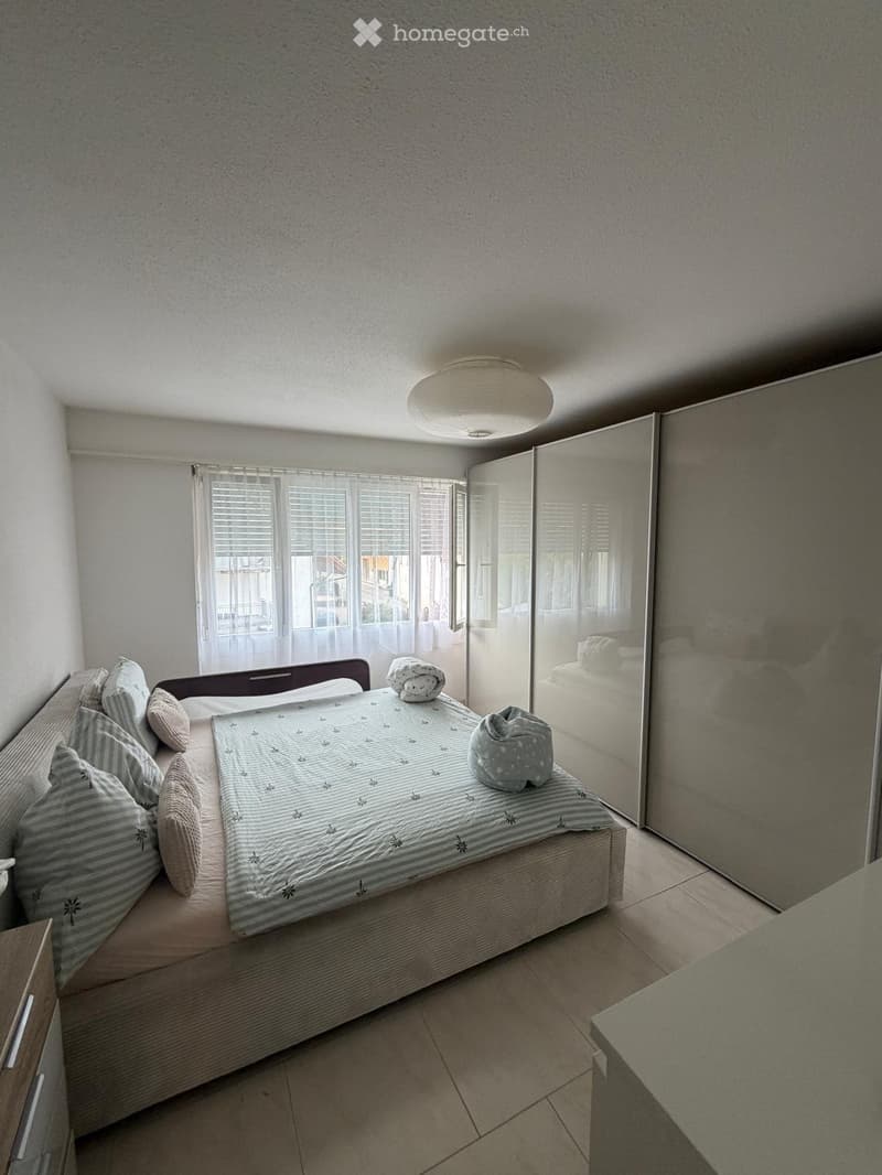 4.5 Zimmer Wohnung in Erlinsbach SO (2)