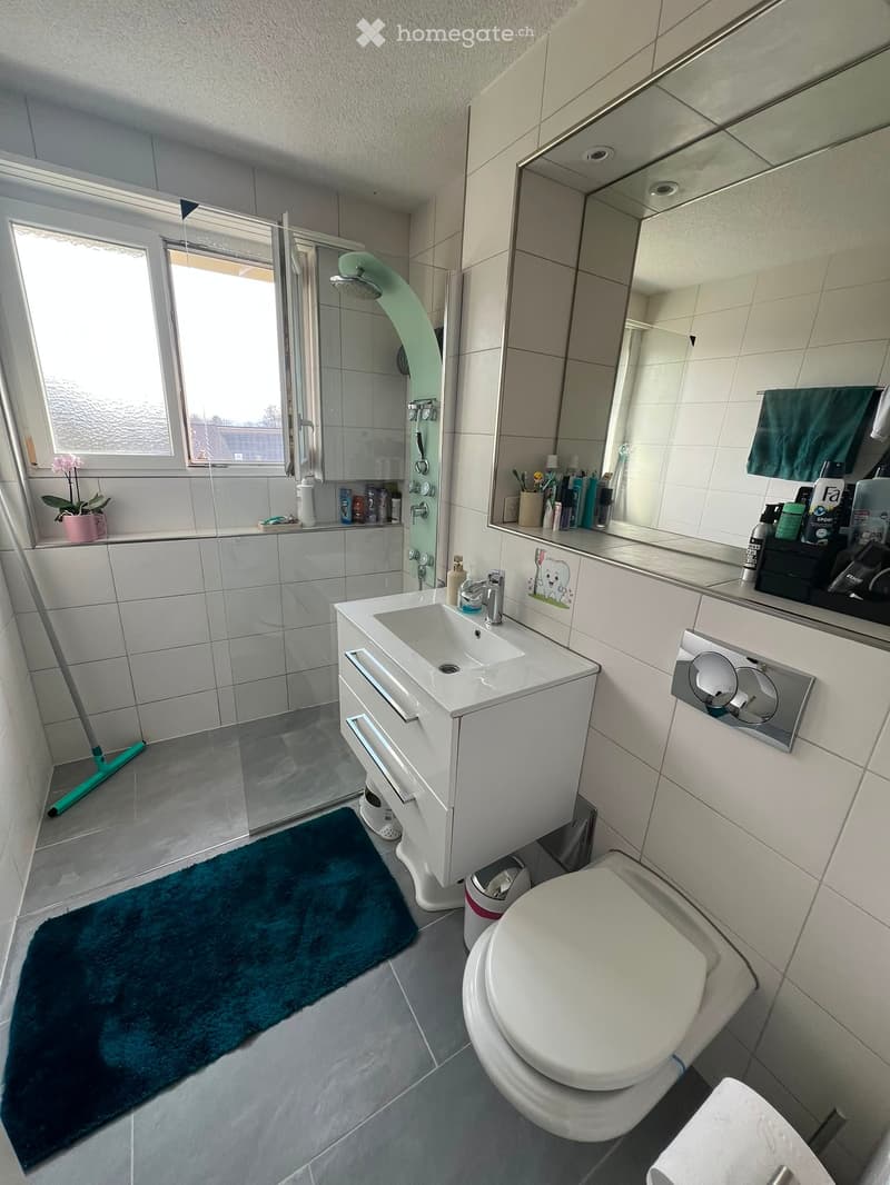 4.5 Zimmer Wohnung in Erlinsbach SO (4)