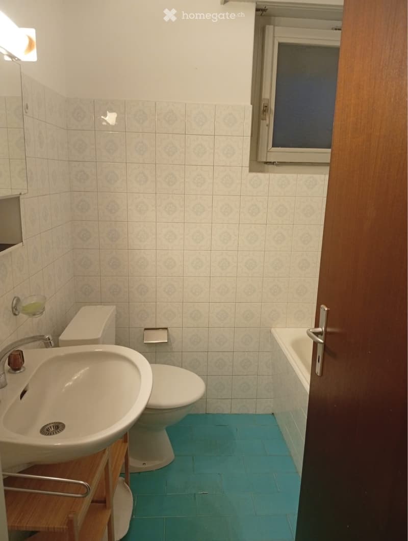 Subentrante 1.5 locali Lugano (4)