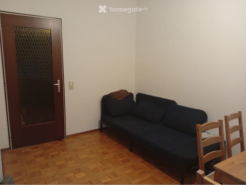 Subentrante 1.5 locali Lugano (2)