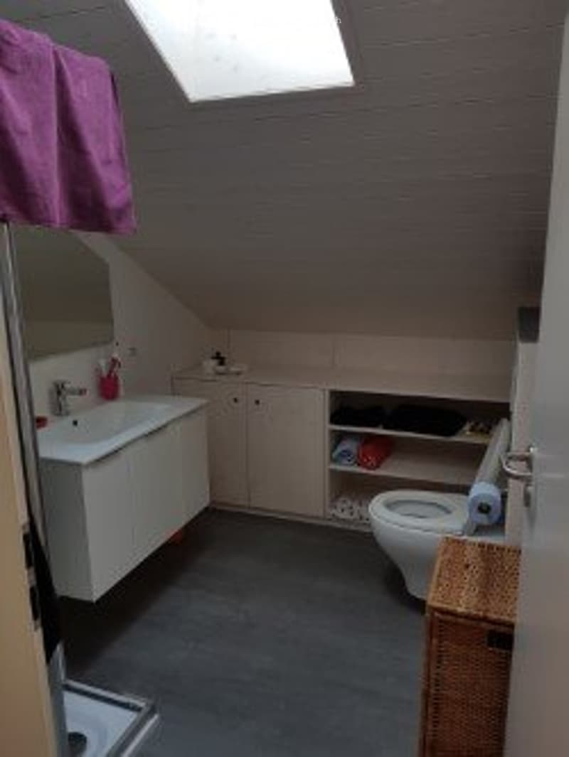 Appartamento duplex Minergie Airolo-Valle (4)