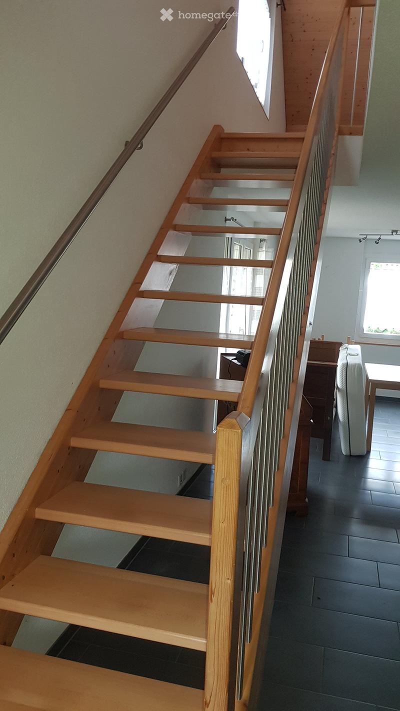 2.5 Zimmer Loftwohnung (2)