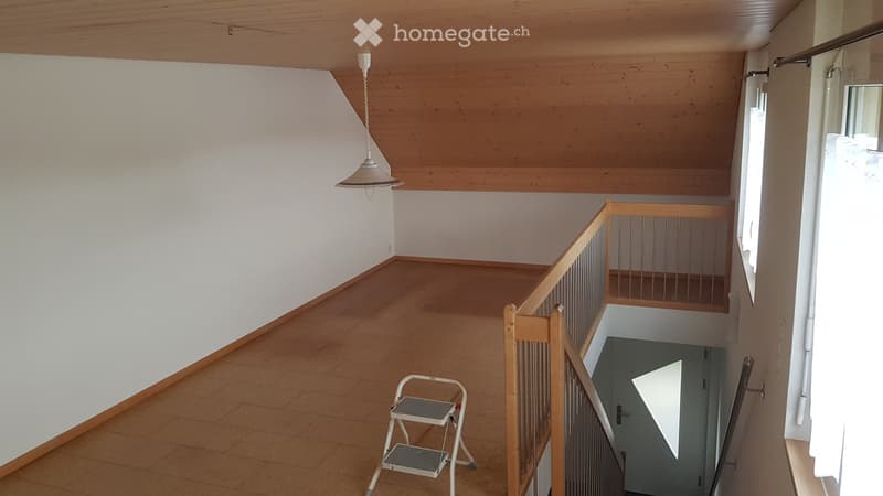 2.5 Zimmer Loftwohnung (5)
