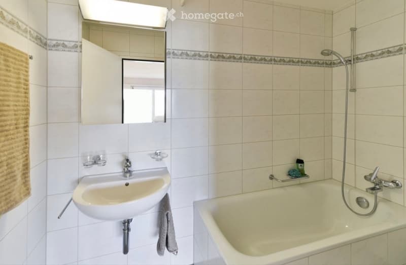 Wohnung 3 Zimmer Fislisbach (3)