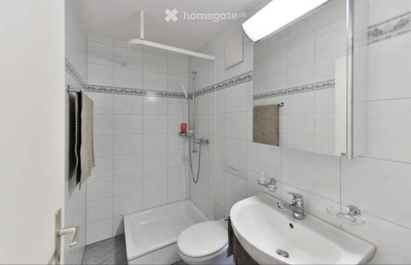 Wohnung 3 Zimmer Fislisbach (2)