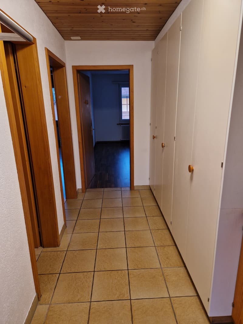 Ländliche schöne 3.5 Zimmer Wohnung (2)