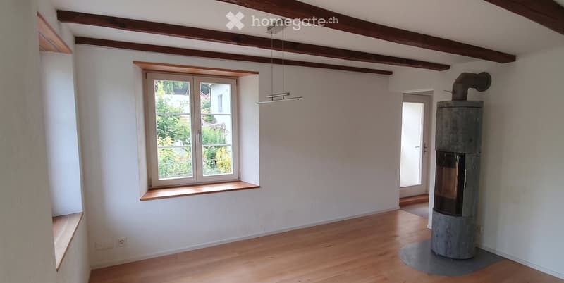 Modernisiertes 7.5-Zimmer Doppel-Einfamilienhaus (5)