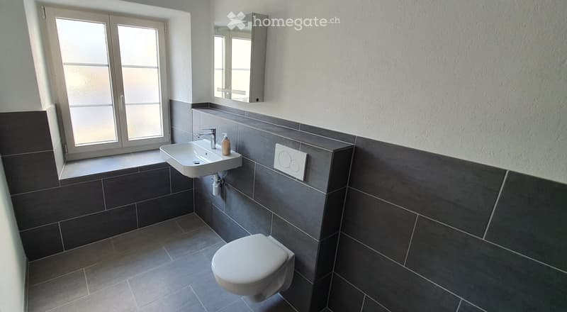 Modernisiertes 7.5-Zimmer Doppel-Einfamilienhaus (2)