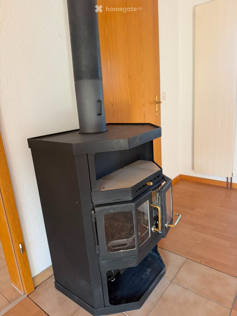 Traumhaft schöne 3 1/2 Zimmerwohnig (5)