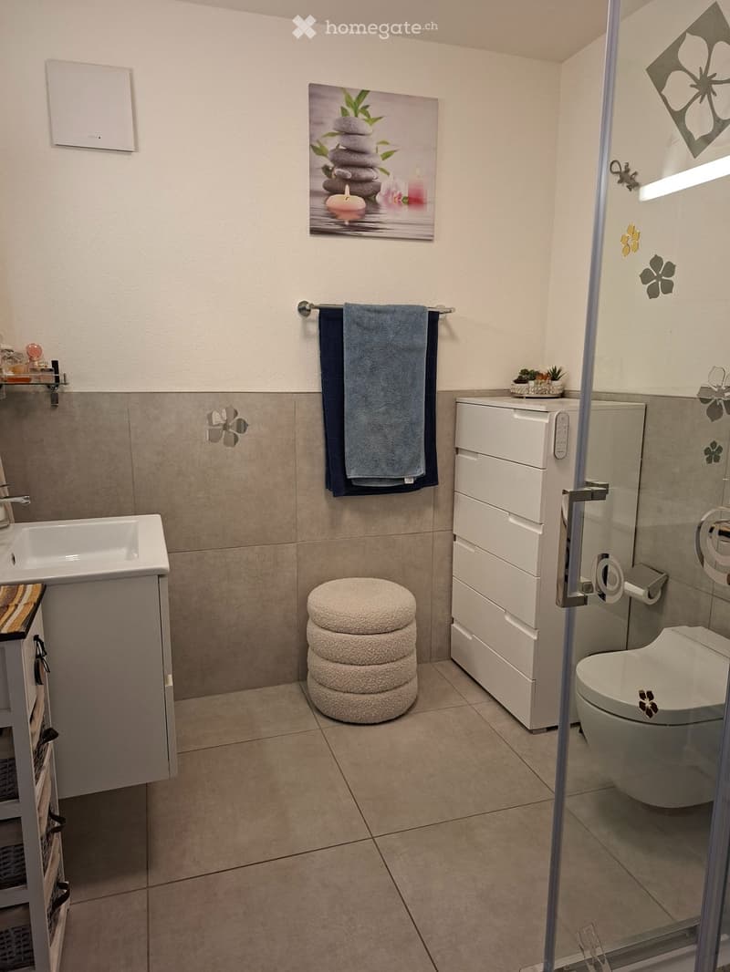 Wohnung im Tessin (4)