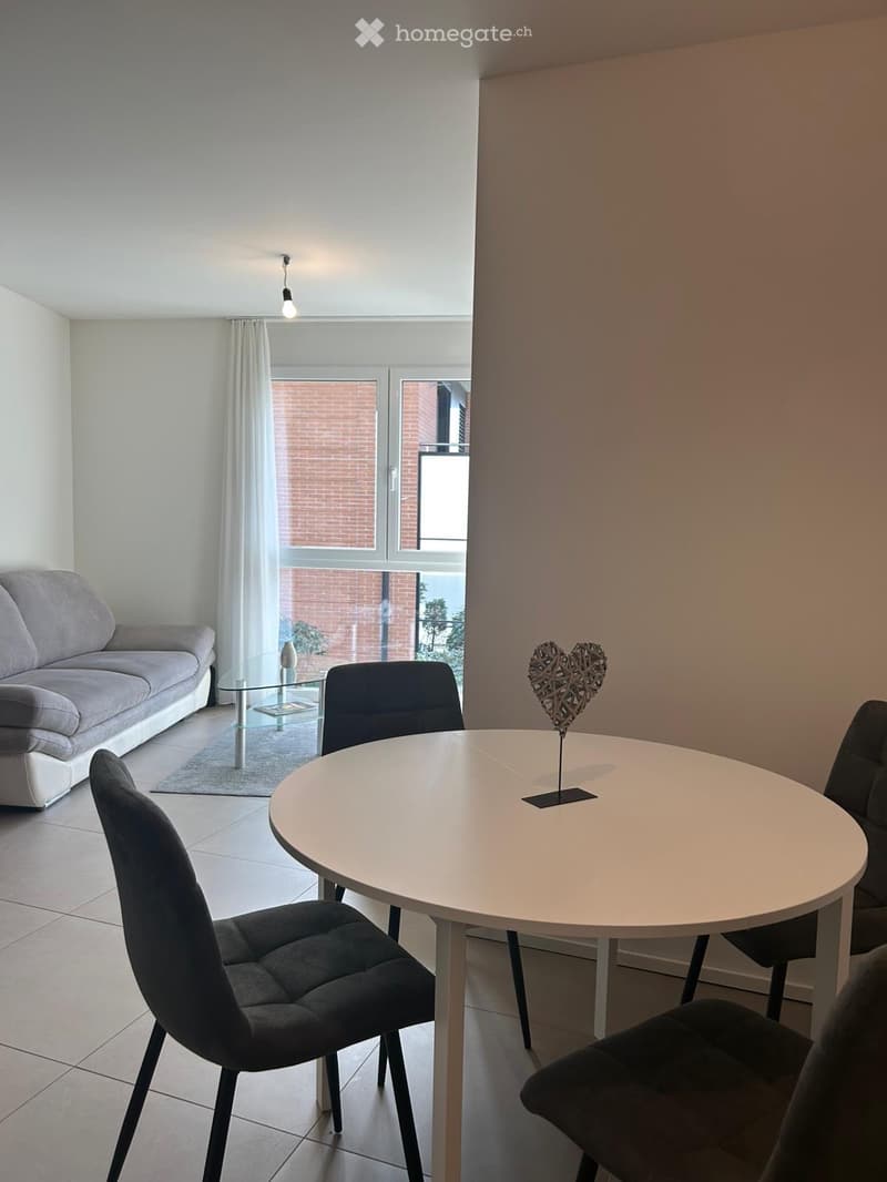 Rent 2 rooms apartment in Bellinzona (2)