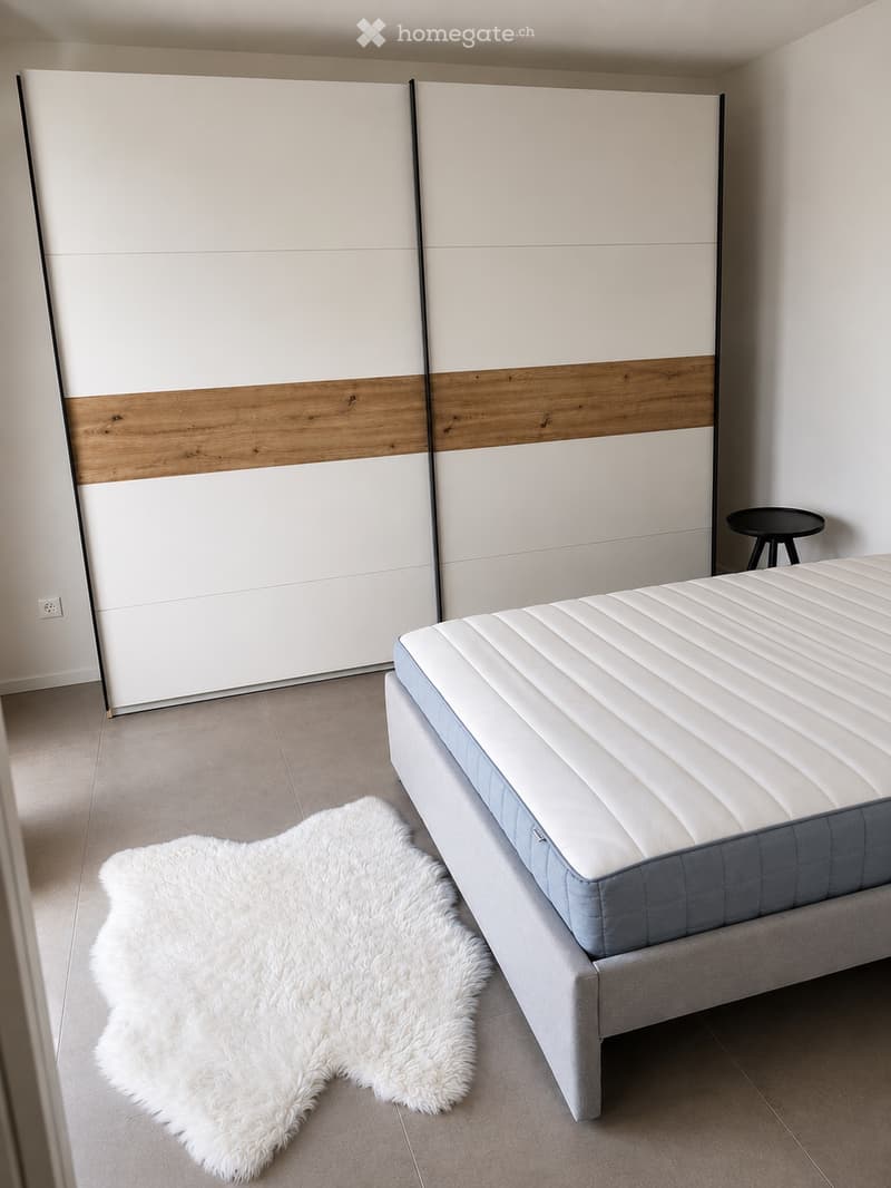 Rent 2 rooms apartment in Bellinzona (5)