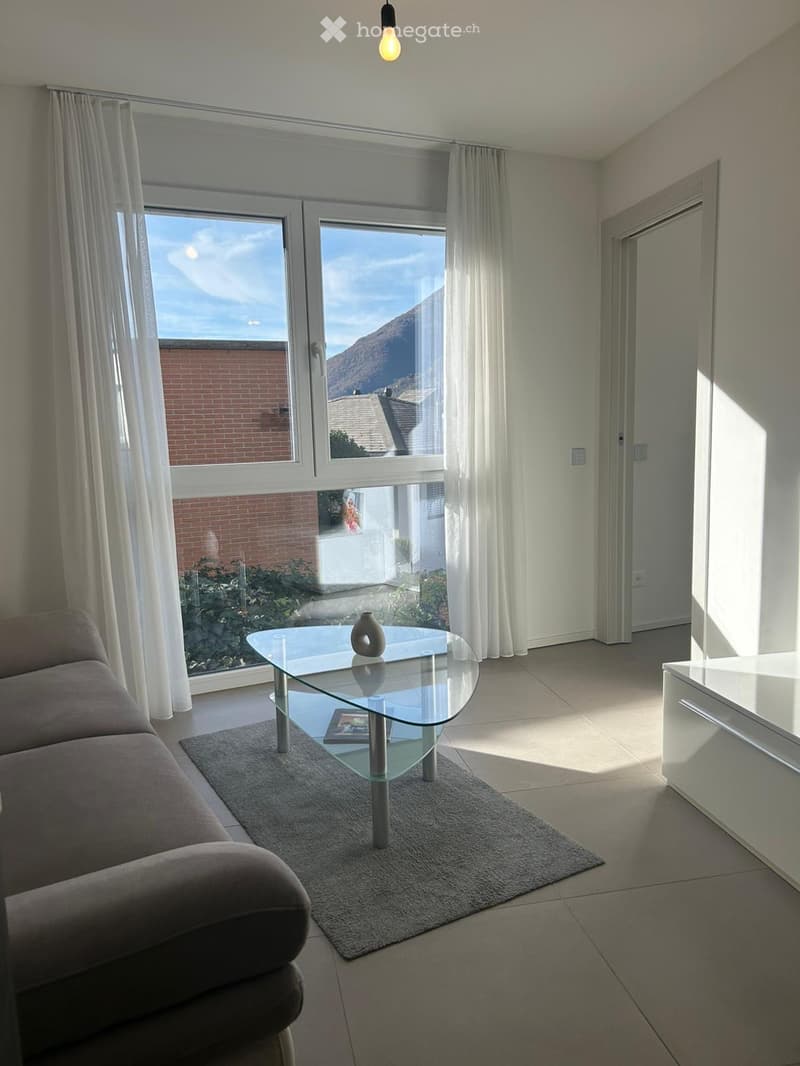 Rent 2 rooms apartment in Bellinzona (1)
