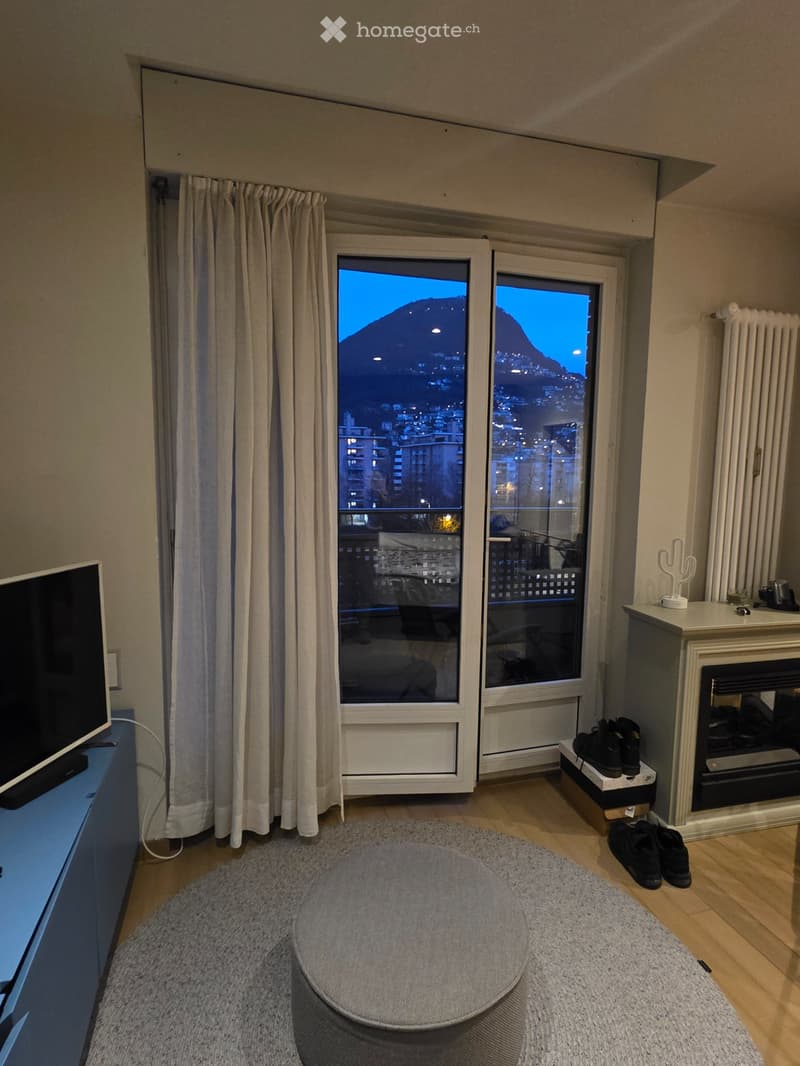 Subentro per appartamento a Lugano (5)