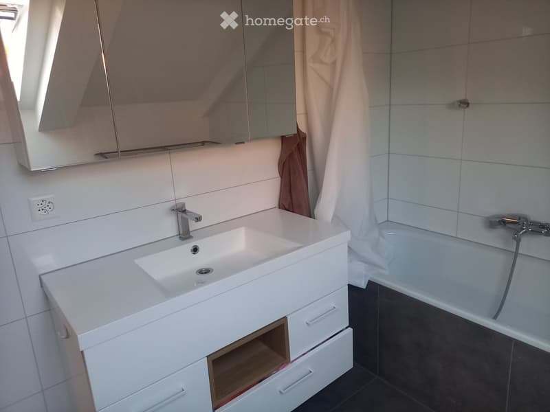Großzügige Wohnung in idyllischer Lage zu vermieten (2)