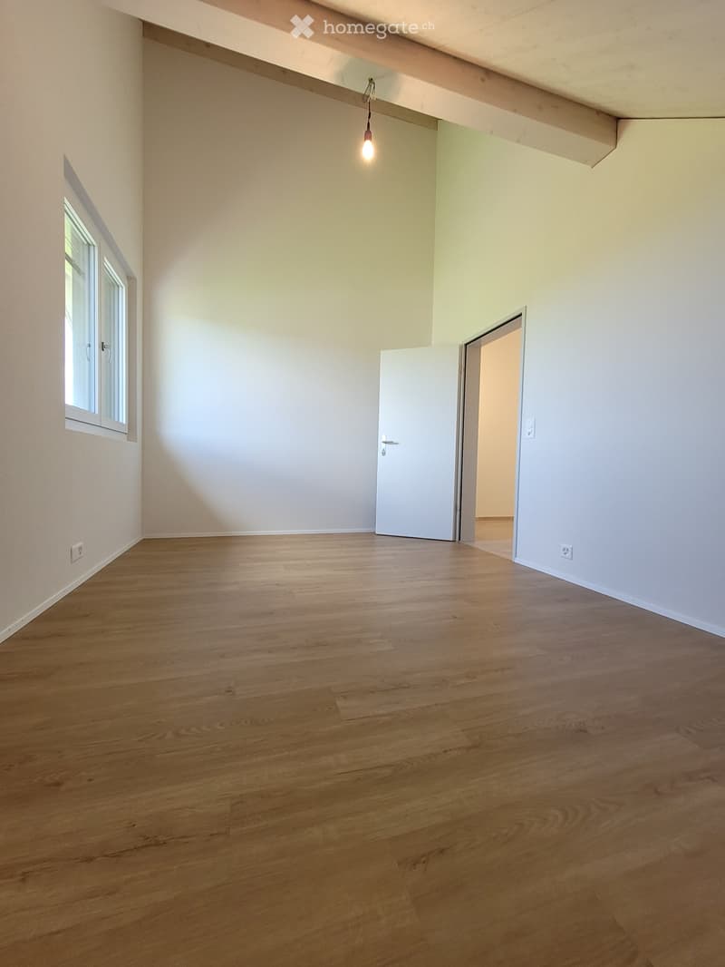 4 Zimmer Dachwohnung (5)