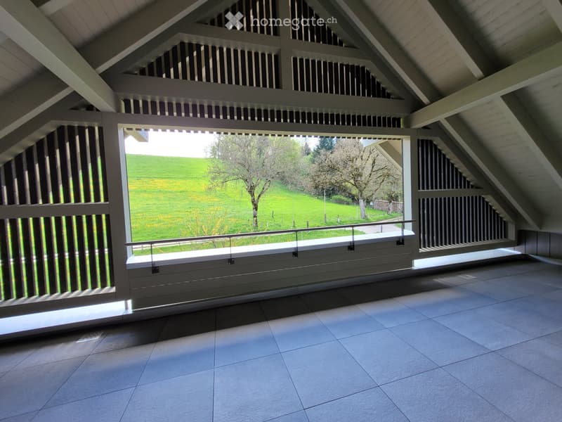 4 Zimmer Dachwohnung (4)