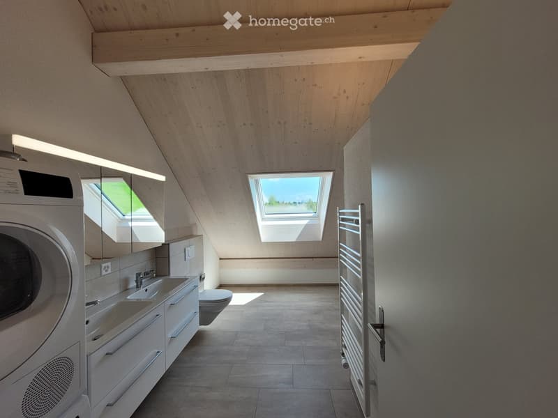4 Zimmer Dachwohnung (2)