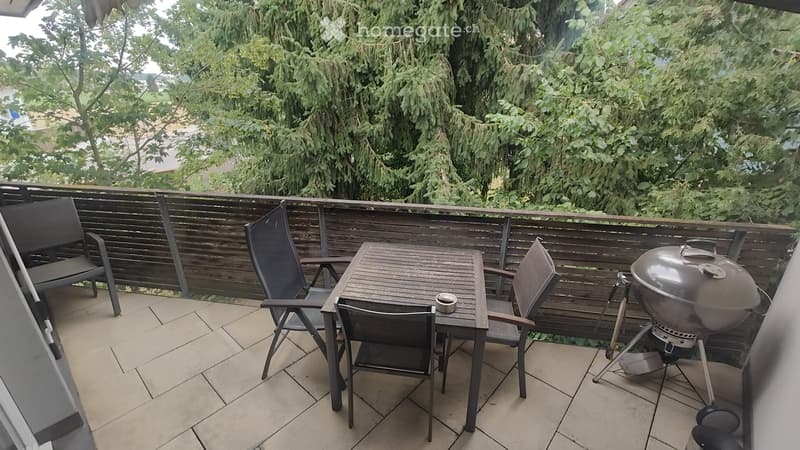 3.5 Zimmer Wohnung (4)