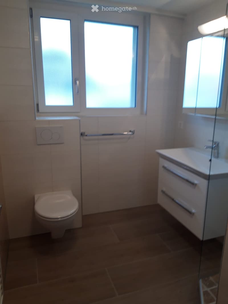3.5 Zimmer Wohnung (5)