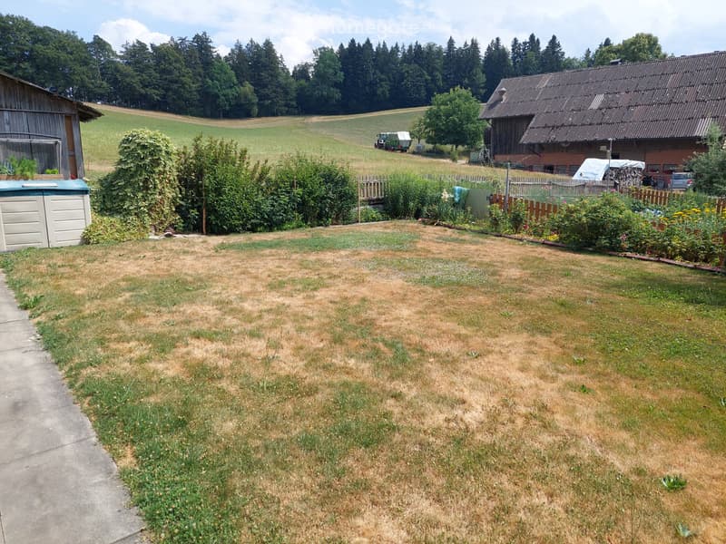 2.5 Zimmer im Grünen (4)