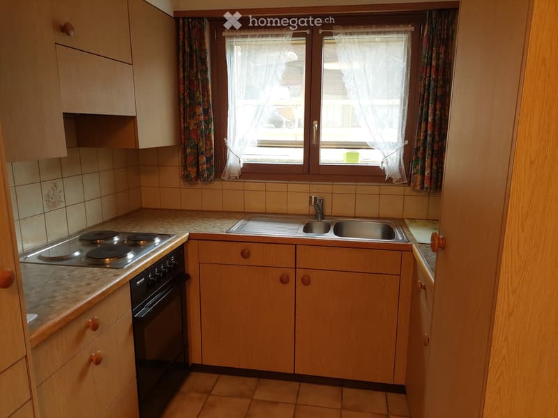 2.5 Zimmer im Grünen (1)