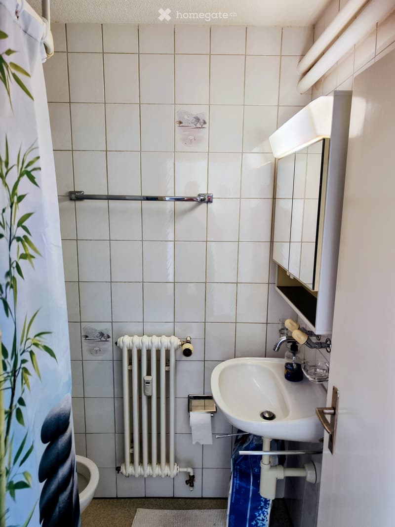 Studio Wohnung in Thun - Nachmieter gesucht (5)