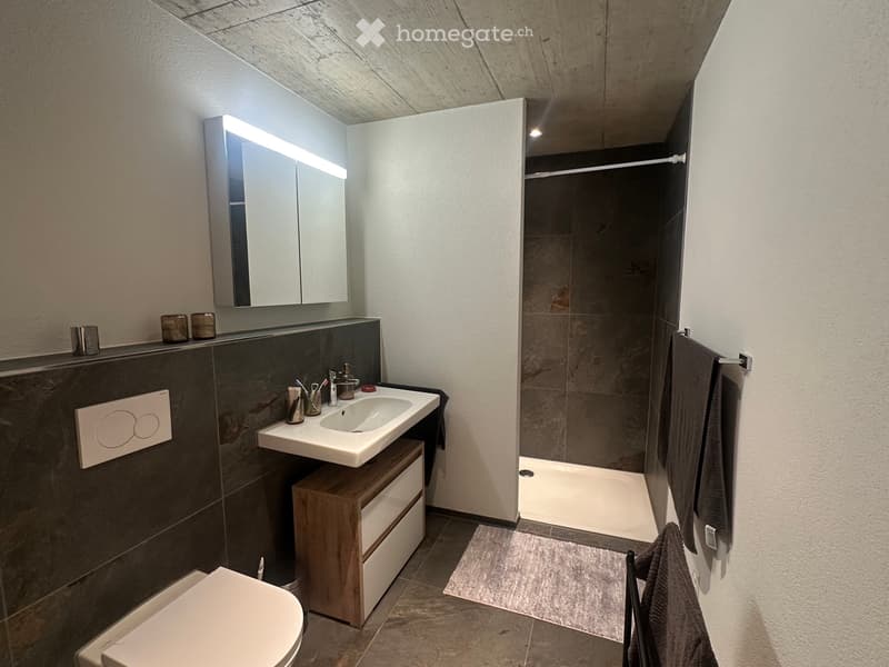 Moderne 2.5-Zimmer-Wohnung mit offenem Wohnkonzept (5)