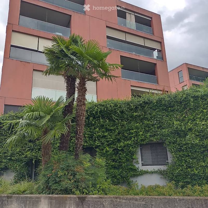 Agno, interessante locale hobby, magazzino (5)