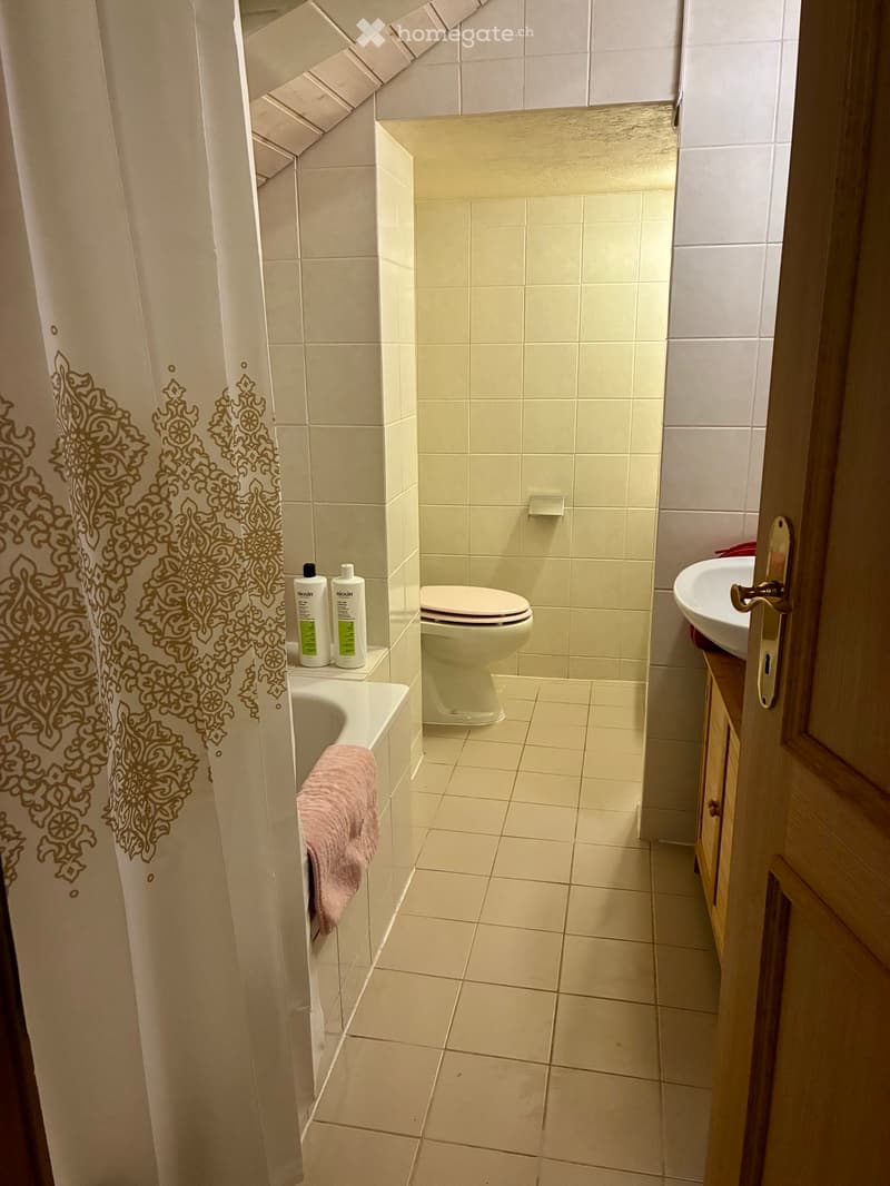 Appartamento 2,5 locali a Cureglia CHF 1100 al mese (5)