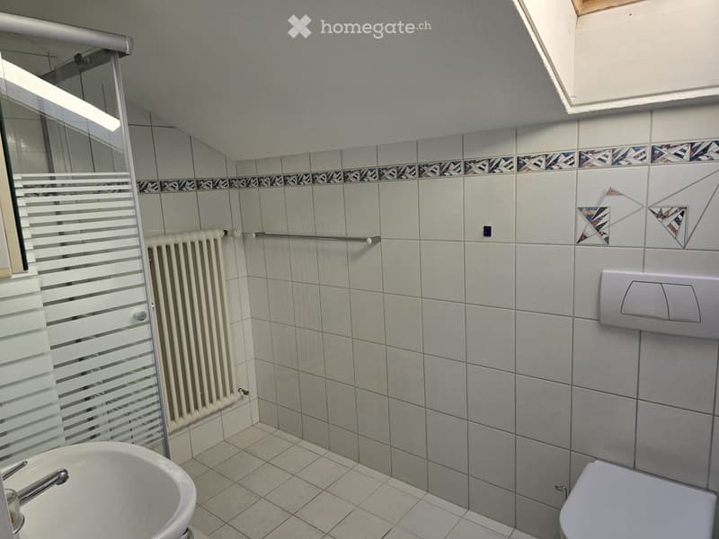 2.5 Zimmer Dachwohnung (5)