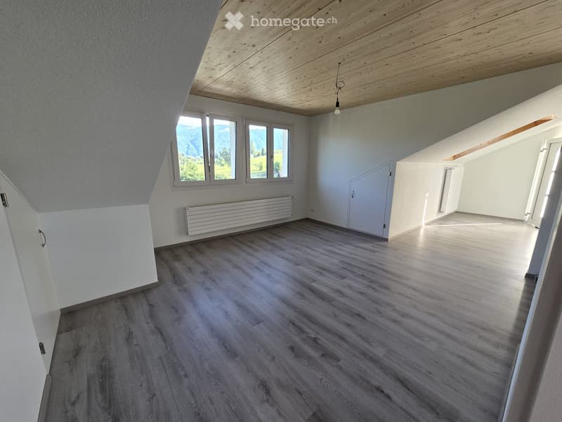 2.5 Zimmer Dachwohnung (3)