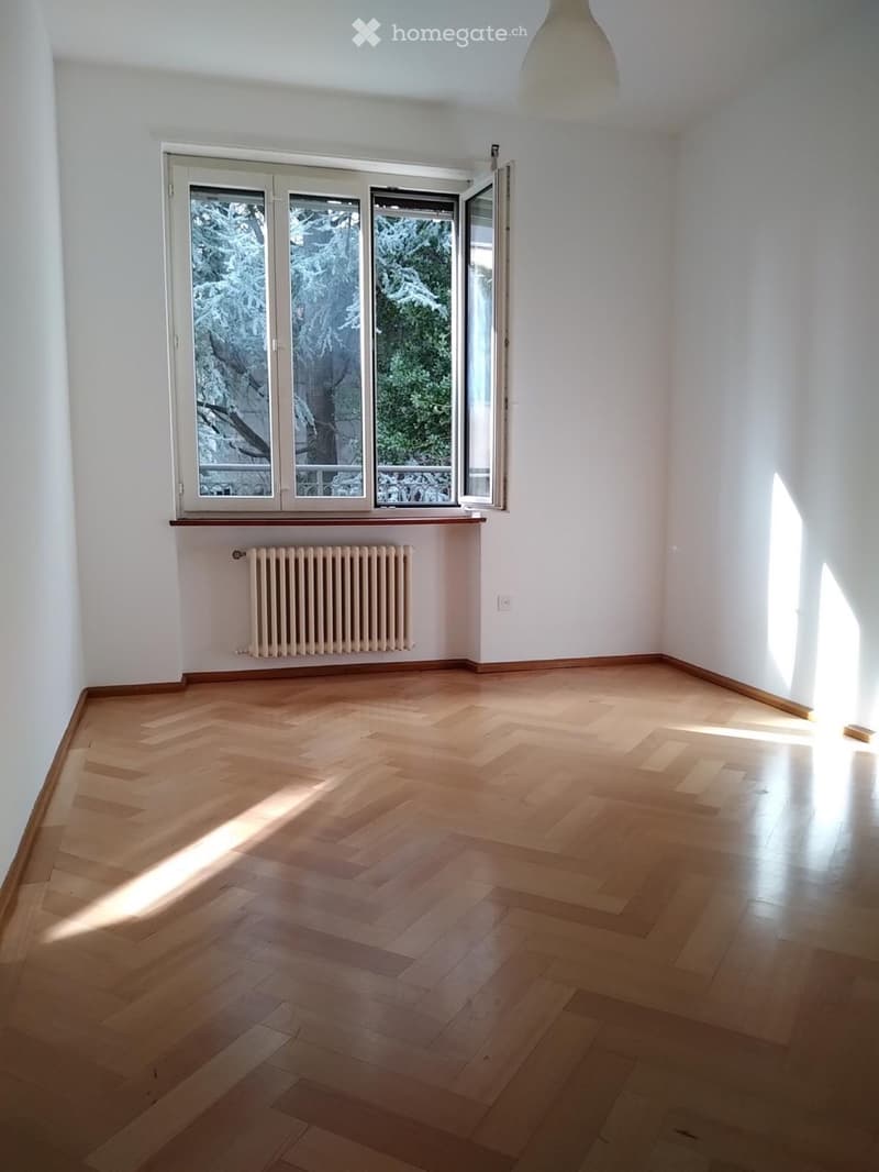 Affittasi appartamento 5.5 locali (4)
