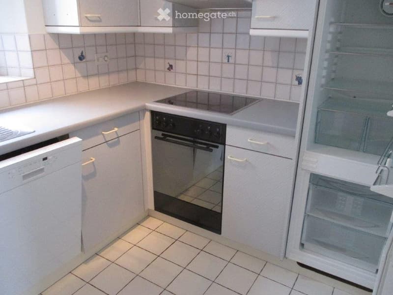 Affittasi a Carasso appartamento 3 1/2 Locali. (3)