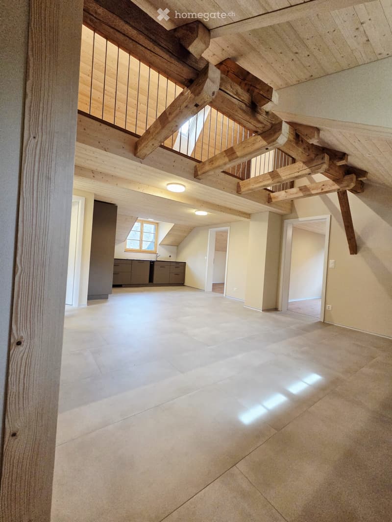 Moderne 3.5 Zimmer Dachwohnung mit zusätzlicher Galerie (1)