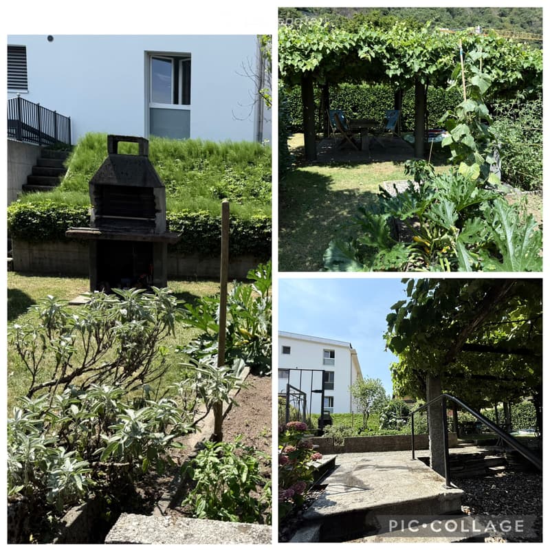 AFFITTASI APPARTAMENTO 3 Locali (5)