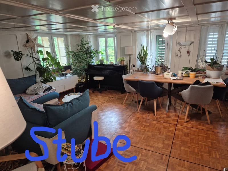 Gemütliche 4.5-Zimmer-Wohnung mit grosser Terrasse (1)
