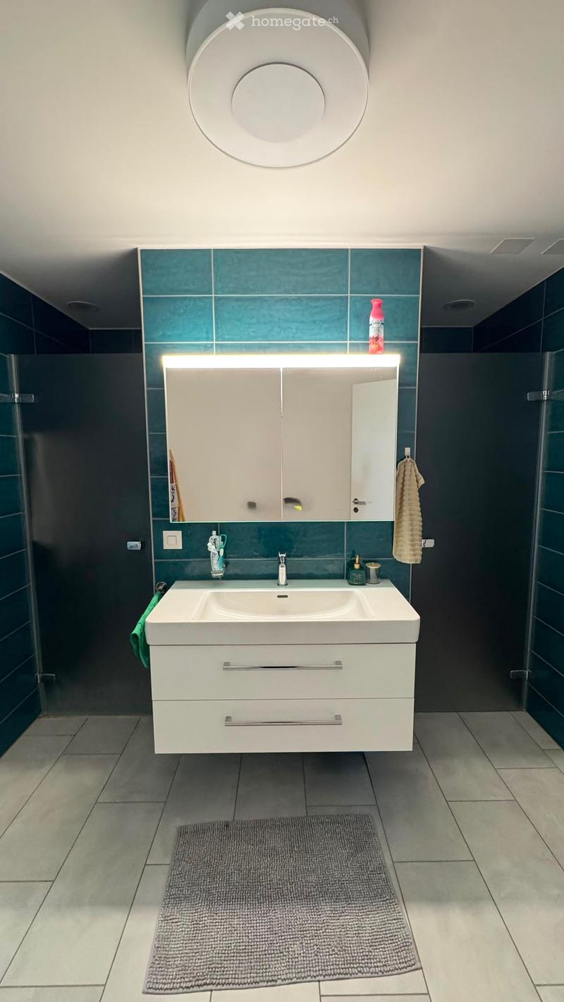 Moderne Wohnung mit grossem Balkon (11)