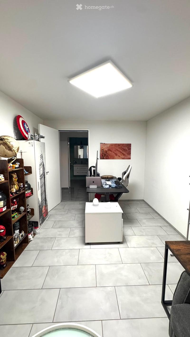 Moderne Wohnung mit grossem Balkon (4)