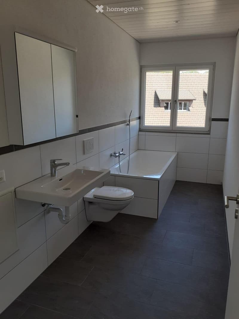 Grosse, renovierte 4 1/2 Zimmerwohnig inkl. NK (3)