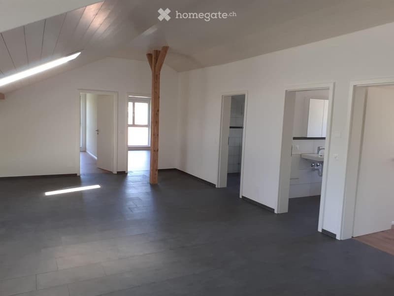Grosse, renovierte 4 1/2 Zimmerwohnig inkl. NK (2)