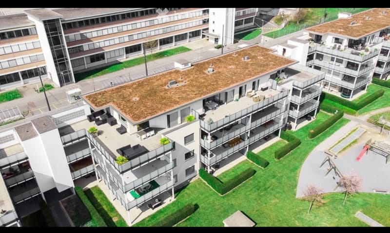 Moderne 2.5 Zimmer-Gartenwohnung (1)