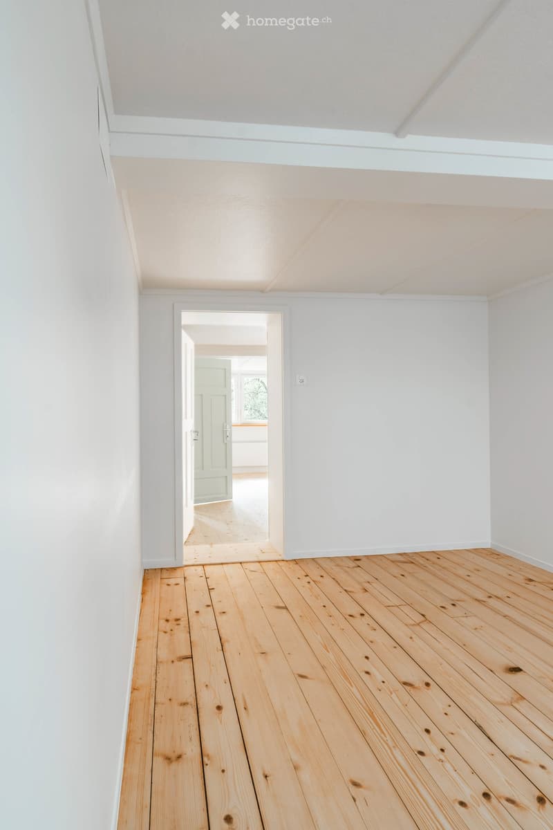 Im Zentrum, mit Garten, 75m2, 4-5-Zimmer, Neu-Renoviert (5)