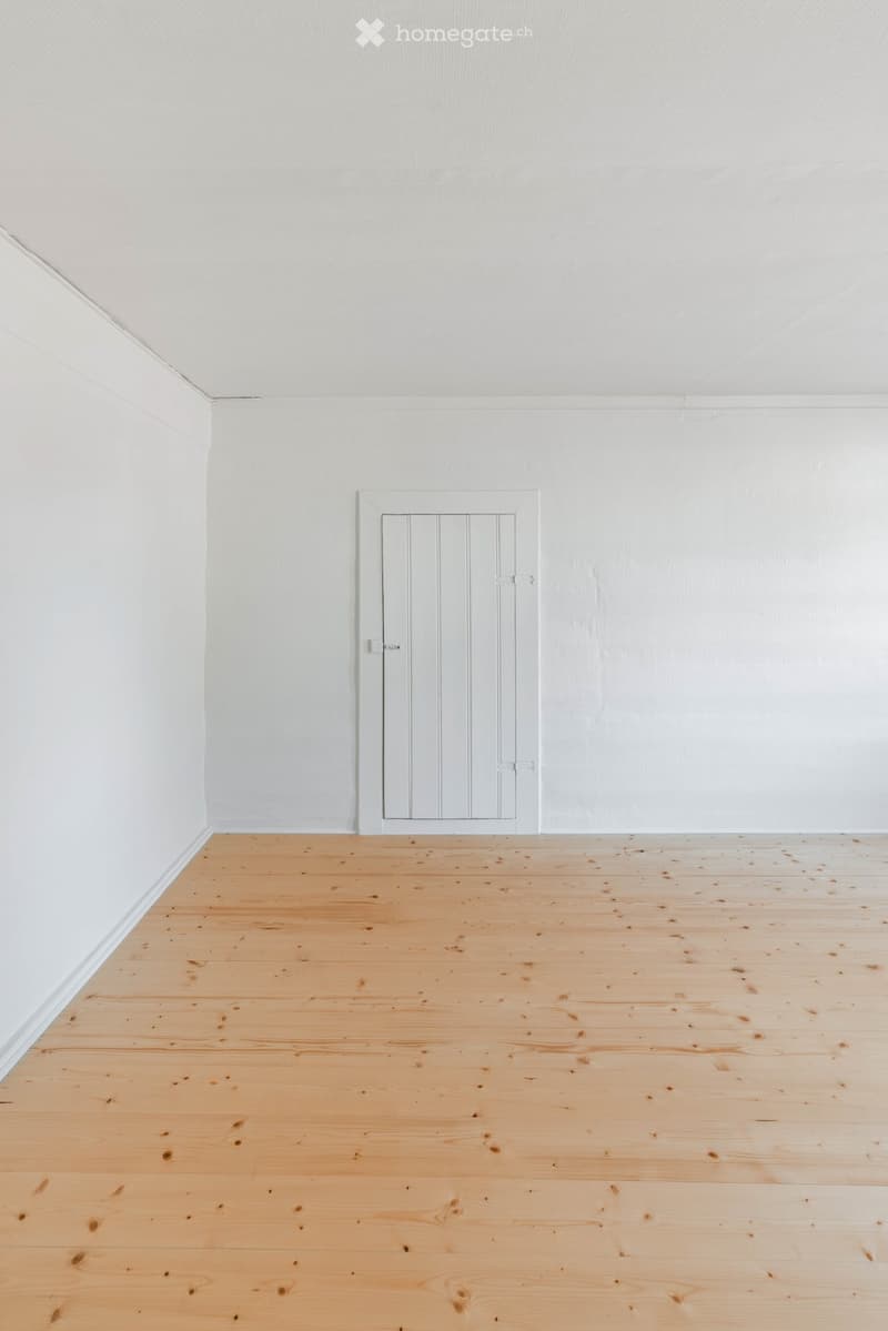 Im Zentrum, mit Garten, 75m2, 4-5-Zimmer, Neu-Renoviert (3)