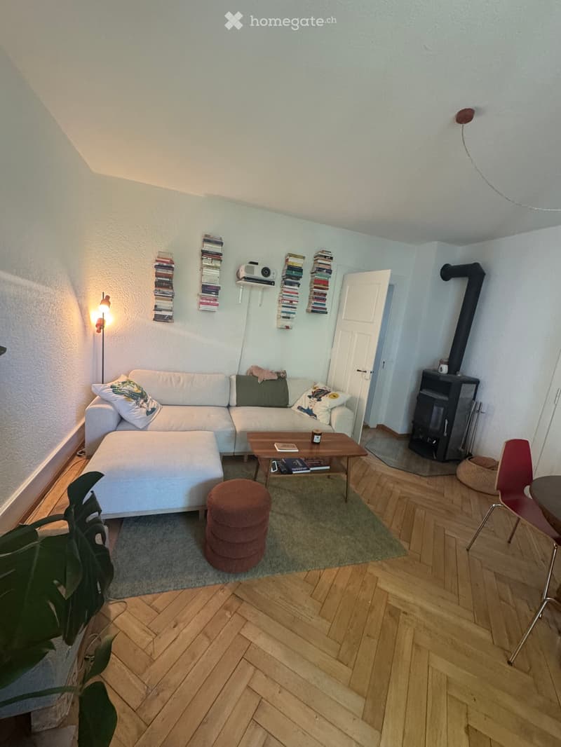 Wunderschöne 3 Zi.-Altbauwohnung im Murifeld (3)